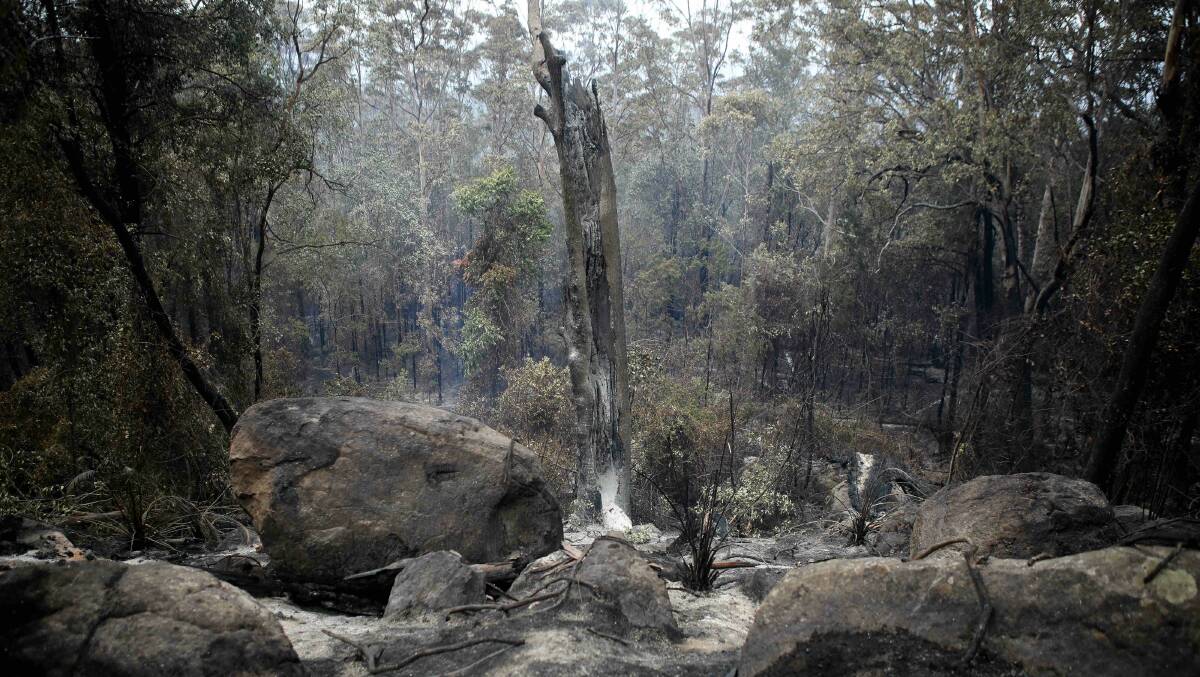 Logs continued to smoulder on Monday after a fire tore through Kangaroo Valley over the weekend. Picture: Adam McLean