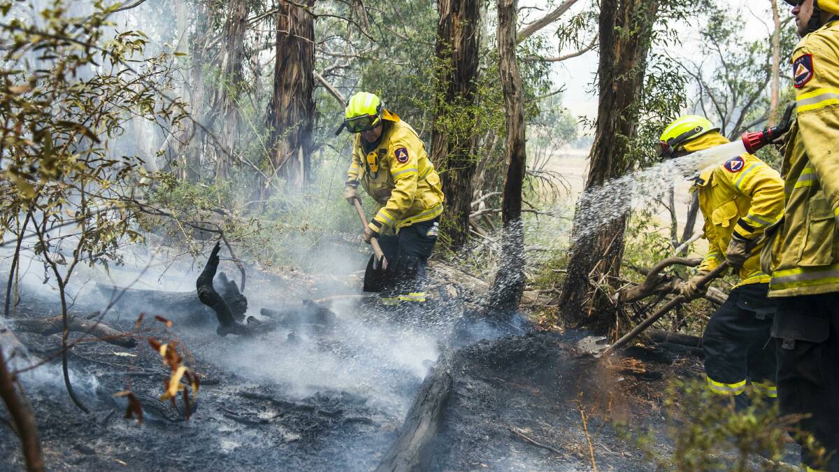 ACT Gungahlin RFS Brigade clear a spot fire on Friday. Picture: Dion Georgopoulos