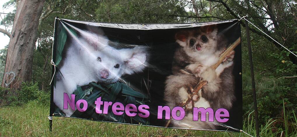 Bum tree banners fly
