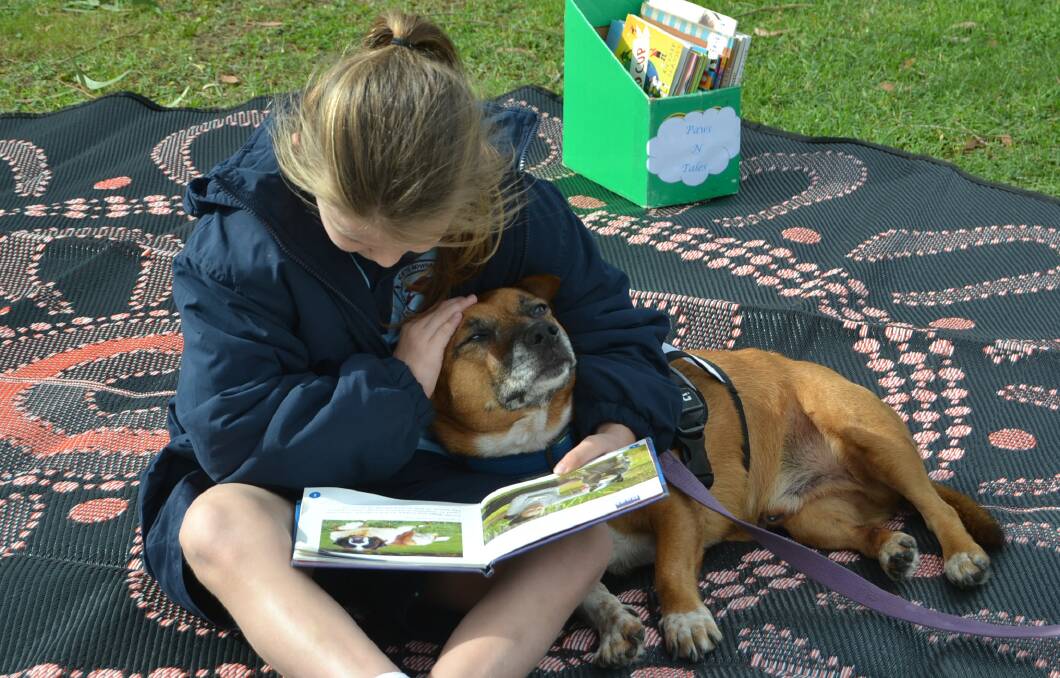 Year-three student Keira Elliott reads to a very attentive Beau.