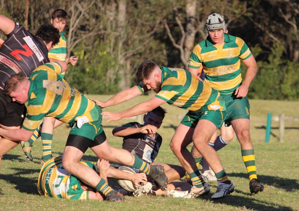 Shoalhaven and Kiama will play for the second time this season on Saturday. Photo: Susan Dun