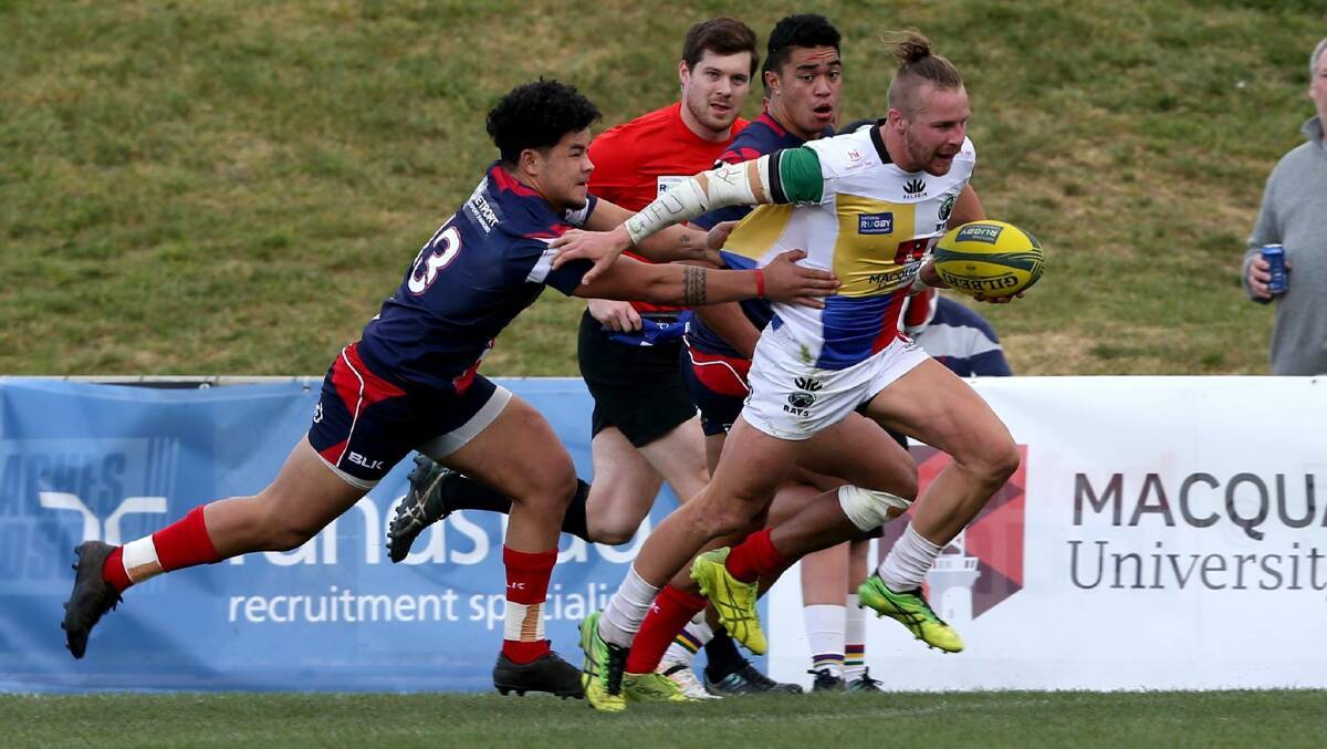 Tom Connor in action for the Sydney Rays at the weekend. Photo: Clay Cross / SPORTSPICS