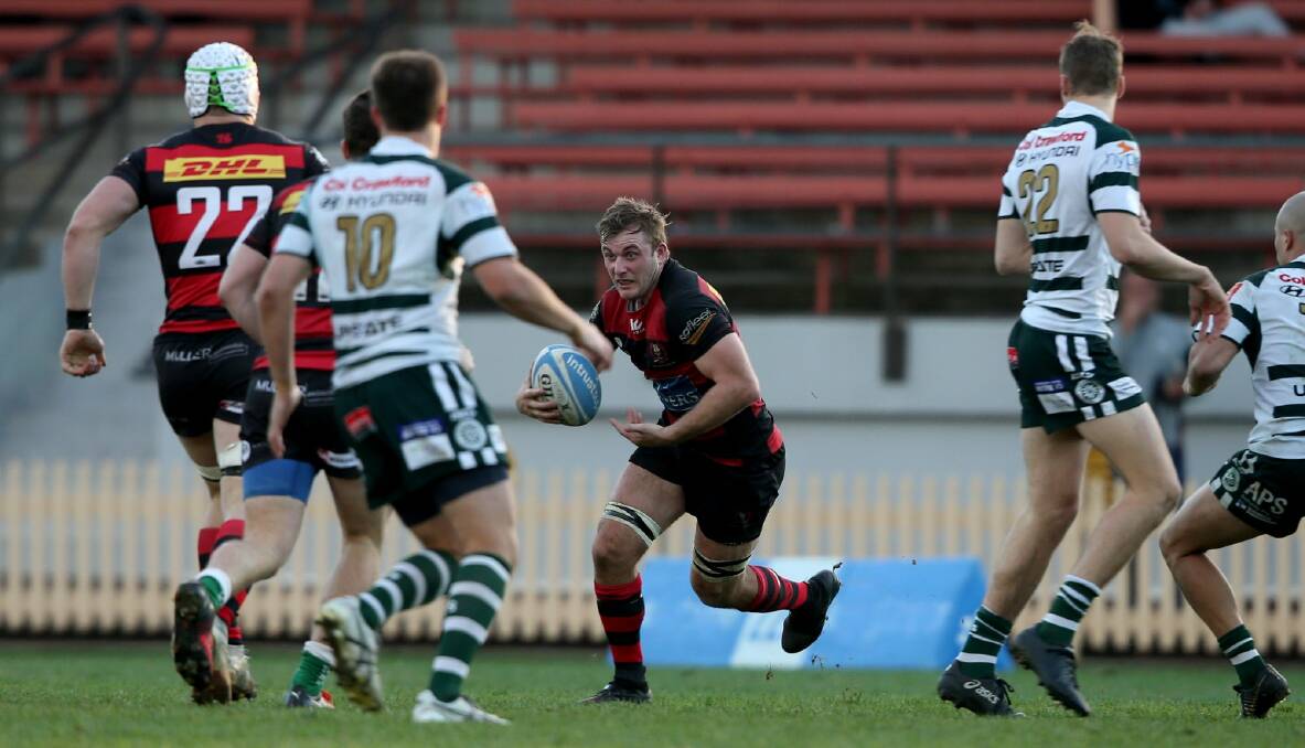 Will Miller makes a run for Norths during his 100th game Warringah. Photo: Clay Cross/SPORTSPICS