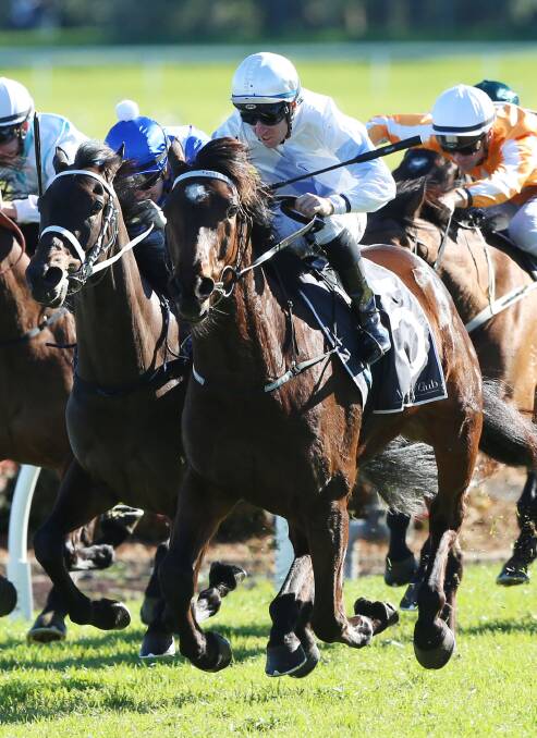 STAR: Tommy Berry rides King's Officer to victory. Photo: Bradleyphotos.com.au