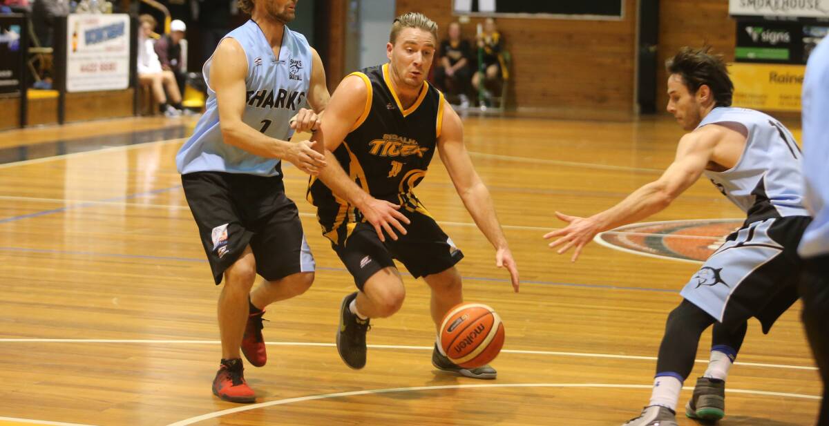 PLAY MAKER: Shoalhaven Tigers guard Alex Brown scored 10 points for his team in the loss to the Sutherland Sharks at the Den. Photo: ROBERT CRAWFORD