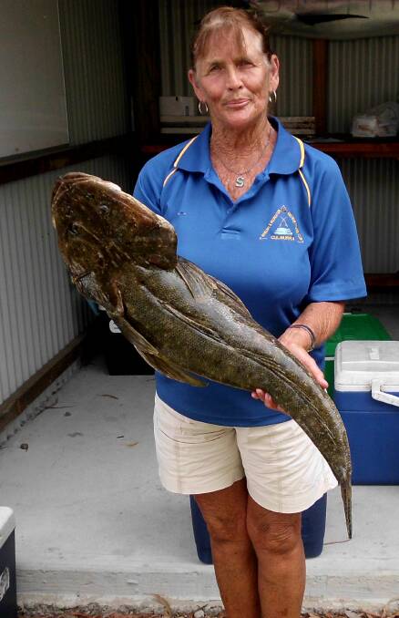 GOT HER HANDS FULL: Angler Sandra Cook with her big flathead.