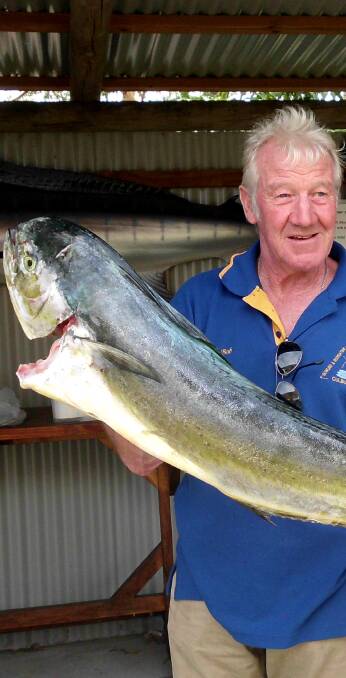HANDS FULL: Bob Bell with the dolphin fish he caught at the recent competition.