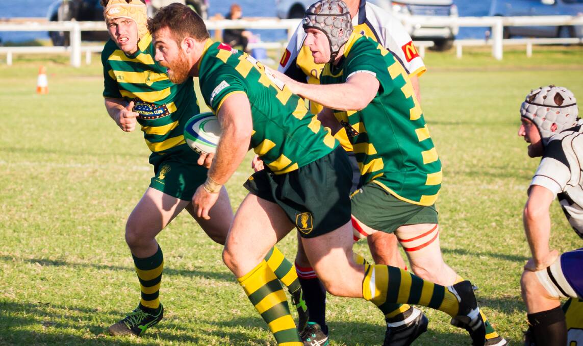 MASSIVE OPPORTUNITY: Shoalhaven Rugby Club's Alex Wilson has been named in the Australian Stockman Rugby Union side. Photo: ZEST IMAGES