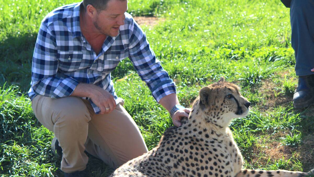 Meet the Cheetah was a highlight of the trip. 