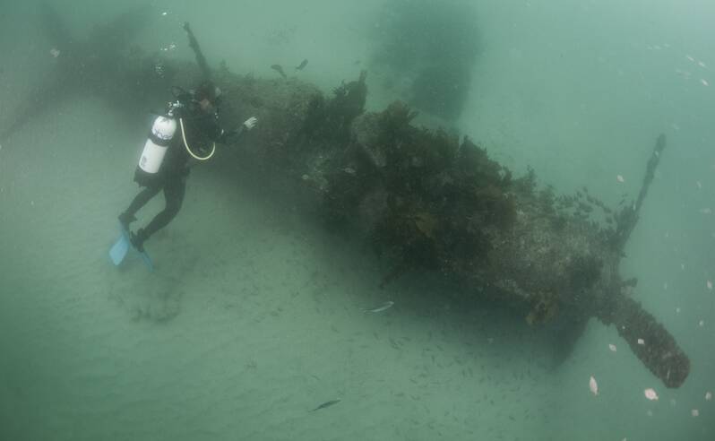 RESTING PLACE: The wreckage of the Firefly recently located in Jervis Bay. Our story brought back memories for a Port Kembla reader. Photo: Mick Tait - www.micktait.com