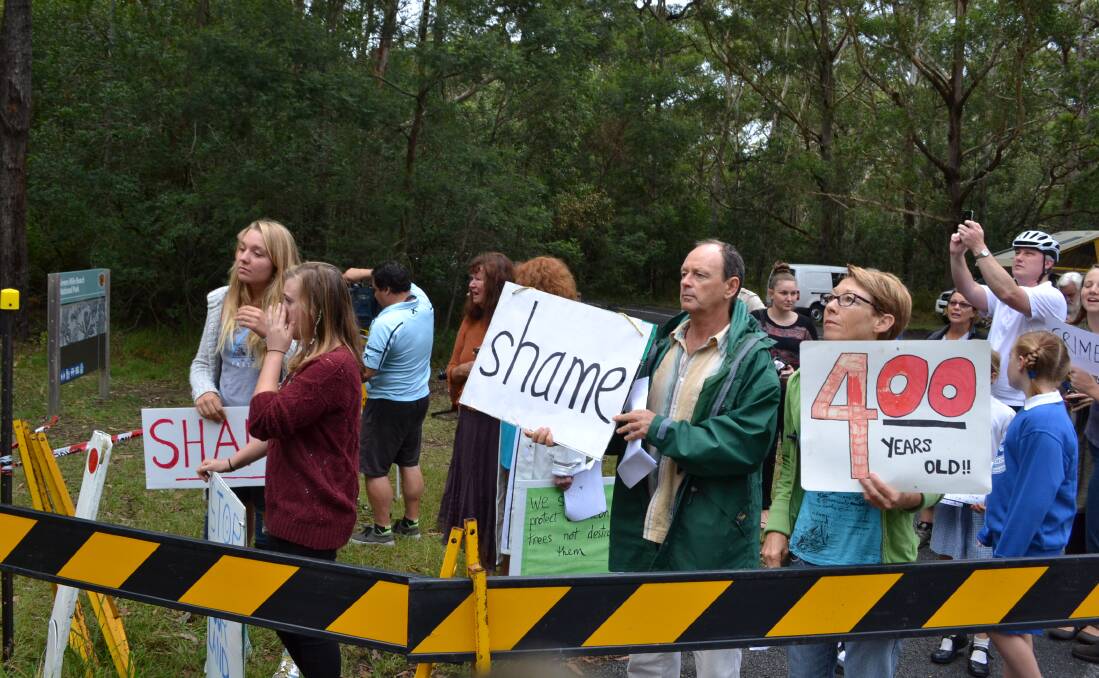 Lingering anger: The protest at the destruction of the bum tree near Gerroa in March 2014. The unveiling of its butt at Shoalhaven Heads has inflamed passions.