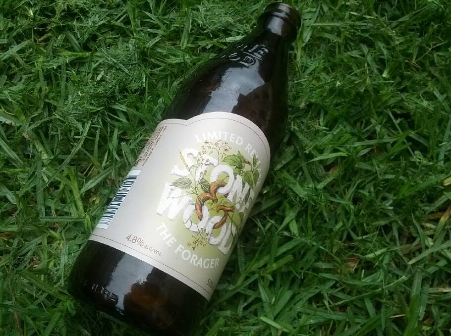 BEAR’S BEER BLOG – The Forager