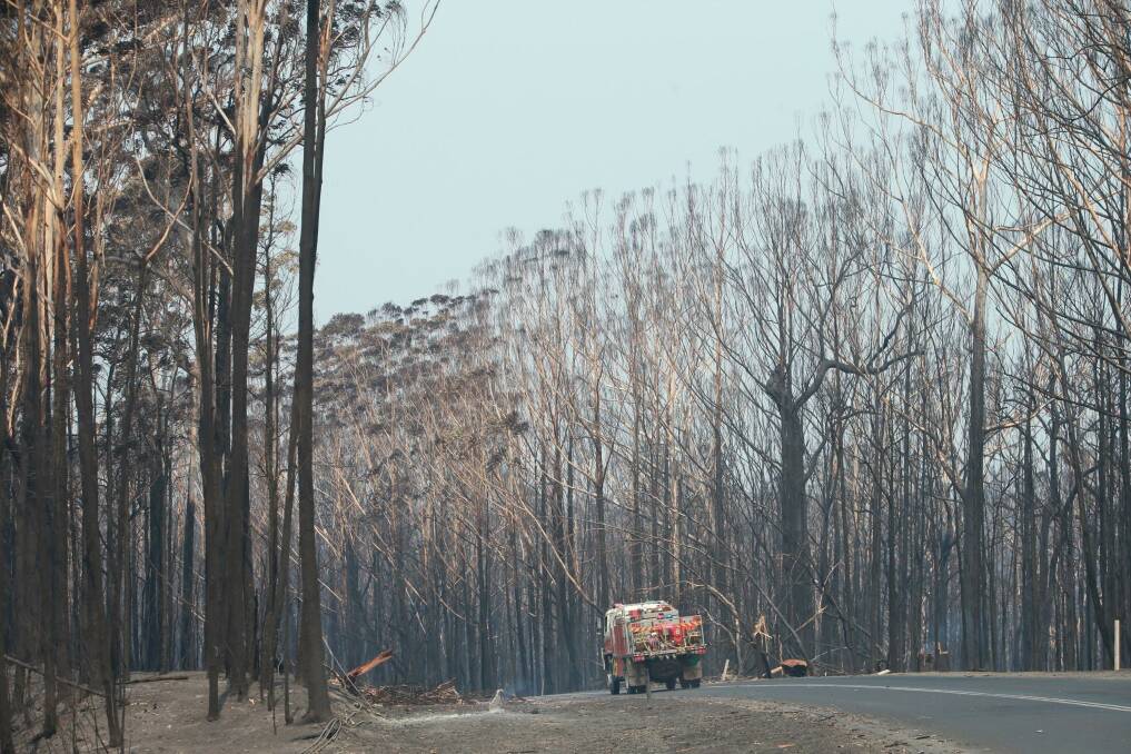 Fire and backburning operations from New Year's Eve leaves a bleak sight on the Princes Highway near Wandandian. Picture: Sylvia Liber