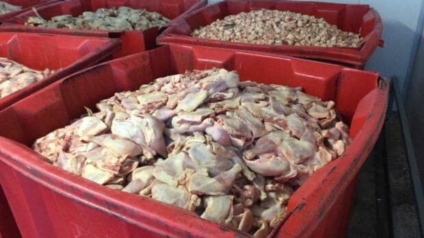 Chicken that was intended for sale at Bill's Chicken in Moorebank, in rusty and corroded bins. Photo: NSW Food Authority