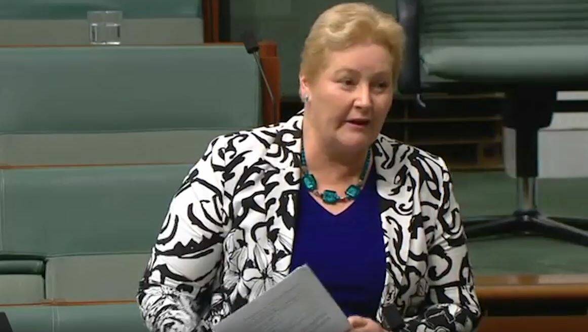 Gilmore MP Ann Sudmalis in parliament on Tuesday.