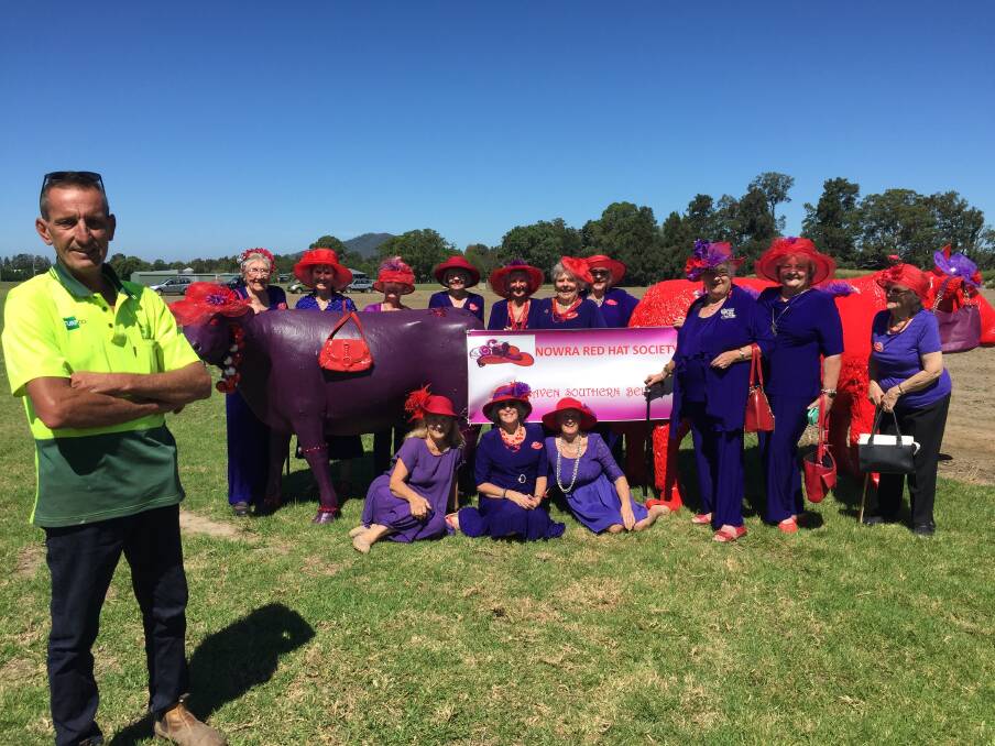 Scott Parker from Turfco with the Nowra Red Hat Society ladies Joan, Marie, Barbara, Maj, Leonie, Lillian, Patricia, Pat, Clare, Maree, Bev, Kris and Rosemarie at the Turfco Cows, painted in honour of their four-year anniversary on Saturday. Picture: Rebecca Fist