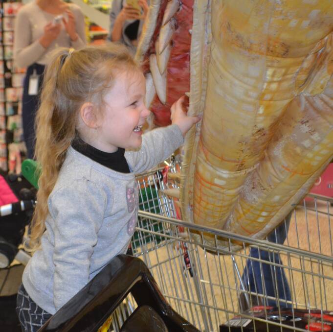 HELLO: Amelia Rollings, 3, tickles the dinosaur under the chin as it reaches for the contents of her mum's trolley at Stockland, Nowra on Tuesday.