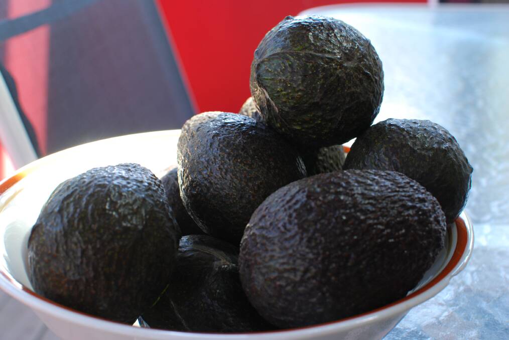 LUXURY ITEM: A bowl of avocados is worth around $30