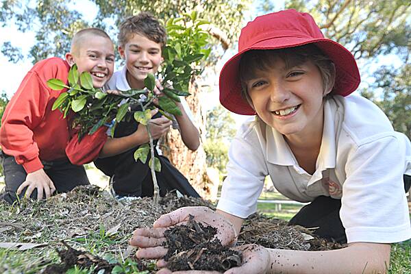 PLANTING: Dean Kinlyside, Kaylan Weller and Patrick Gillen from Shoalhaven Heads Primary School promoting 2011 National Tree Day at their school. Photo: ADAM WRIGHT