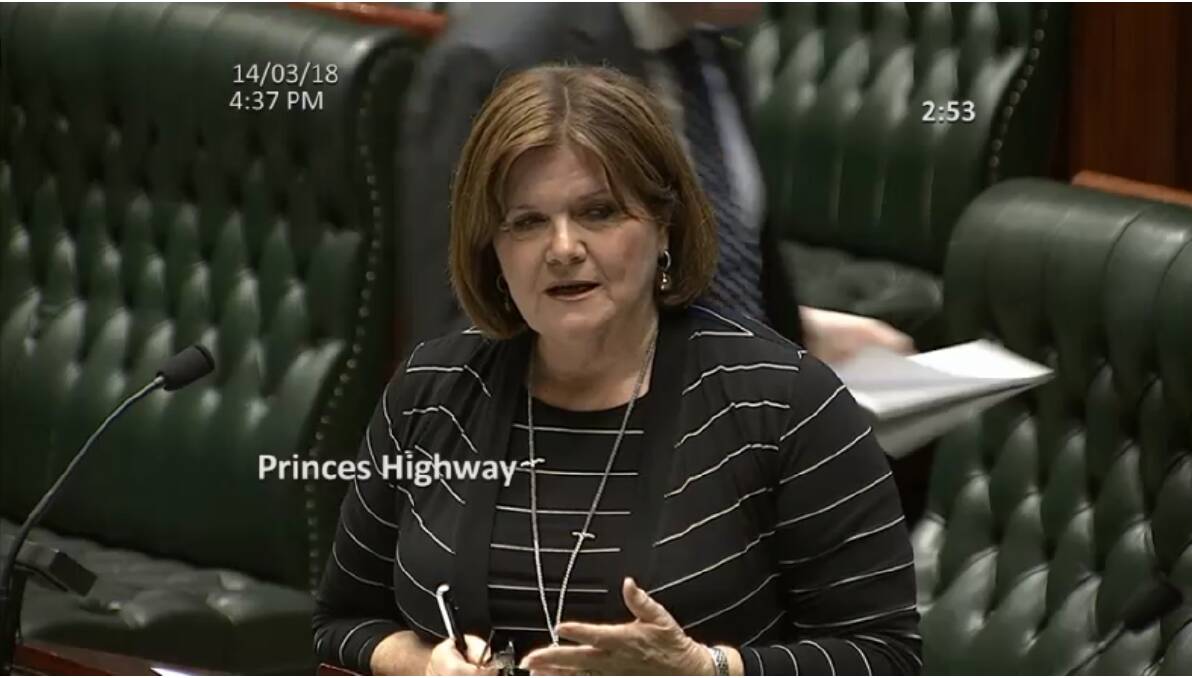 South Coast MP Shelley Hancock presenting a matter of public importance at parliament on Wednesday.