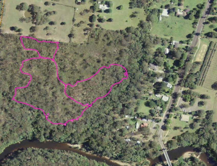 The area of bushland behind the Pioneer Village Museum in Kangaroo Valley where  the rural fire service will be conducting a hazard reduction burn this Thursday, April 12.