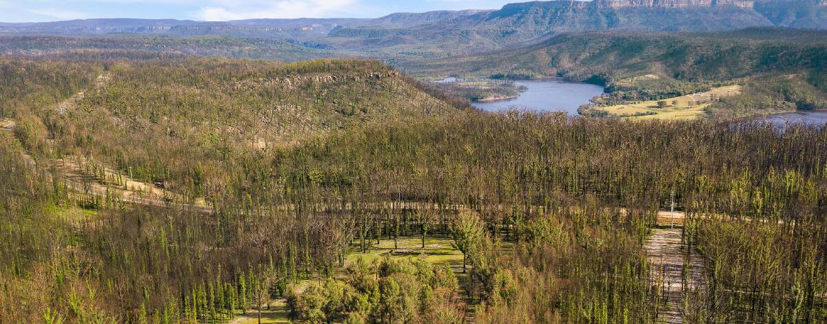 The 140-acre (56 hectare) property at 515 Tallowa Dam Road has stunning views of the valley and Tallowa Dam. Image: Supplied