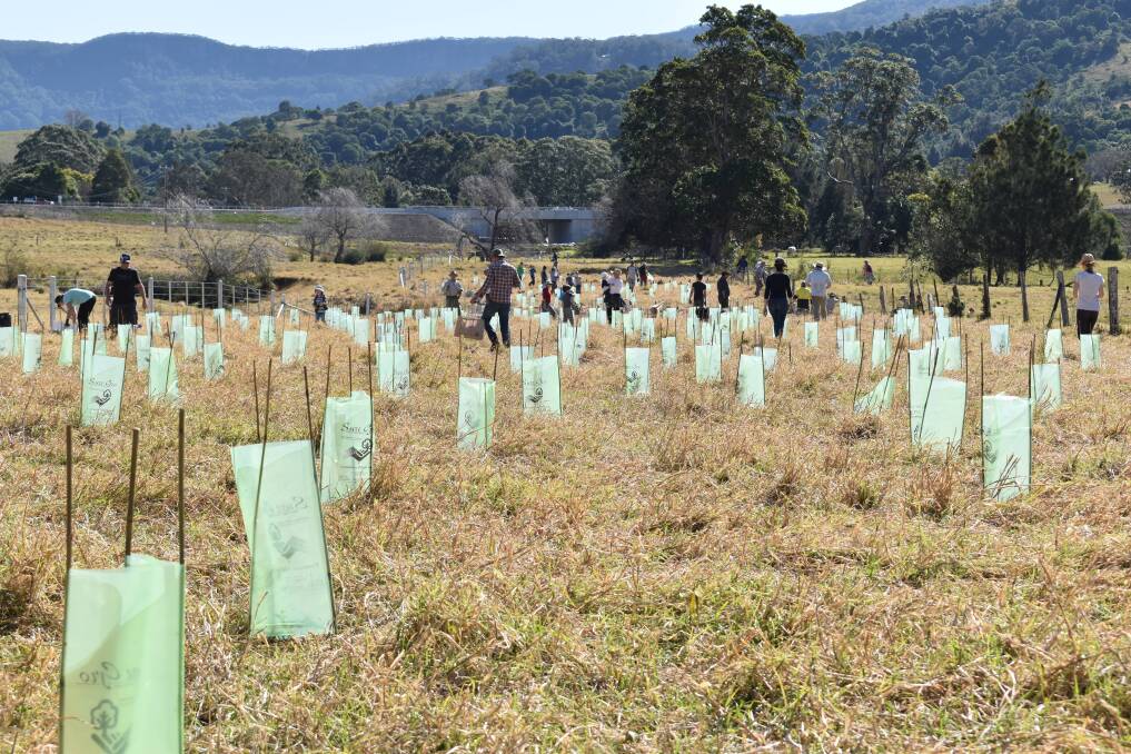 GREAT EFFORT: Seventy community members planted 550 native plants during the in a critical tree corridor east of Berry as part of National Tree Day. Photo: Walter Bagnarol