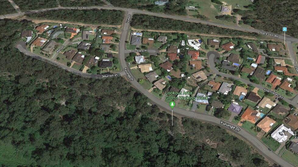 Stella, the lost Husky was trapped 10 metres down a clif off Yurunga Drive at North Nowra. Google Maps
