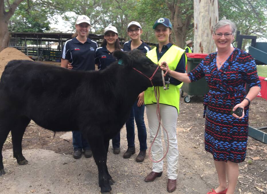 Shoalhaven Mayor Amanda Findley takes a look at Nowra High School’s steer with students Rachael Johnstone, Jamima Saek, Cara Haupt and Claire Anfruns.