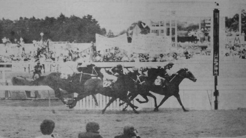 The mighty Arwon continues Nowra's connection with the race that stops the nation, the Melbourne Cup, winning in 1978.