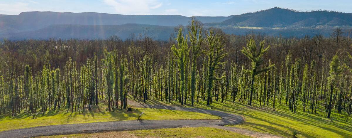 The property has stunning bushland, valley and Tallowa Dam views. Image: Supplied