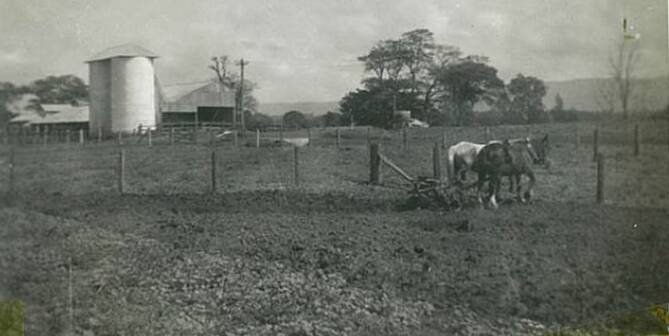 Ploughing work on Pig Island in 1947.