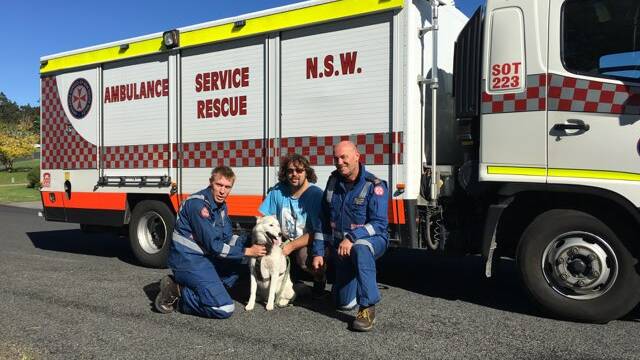 NSW Ambulance Rescue Paramedics Irwin Burbage and Jason Watson with Stella and her relieved owner Josh Day after Monday morning’s dramatic rescue. Photo: Supplied