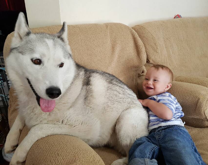 Eleven-month-old Jameson Day is happy to be reunited with his mate Stella.
