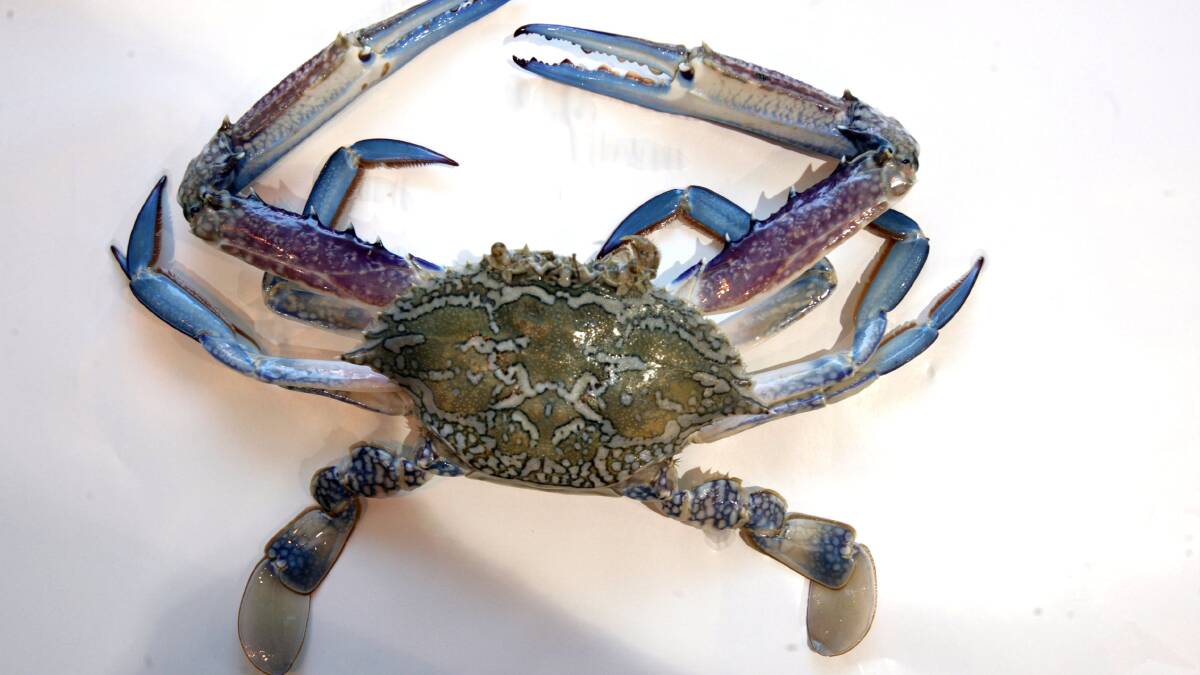 lllegal crab haul costs men $10K​