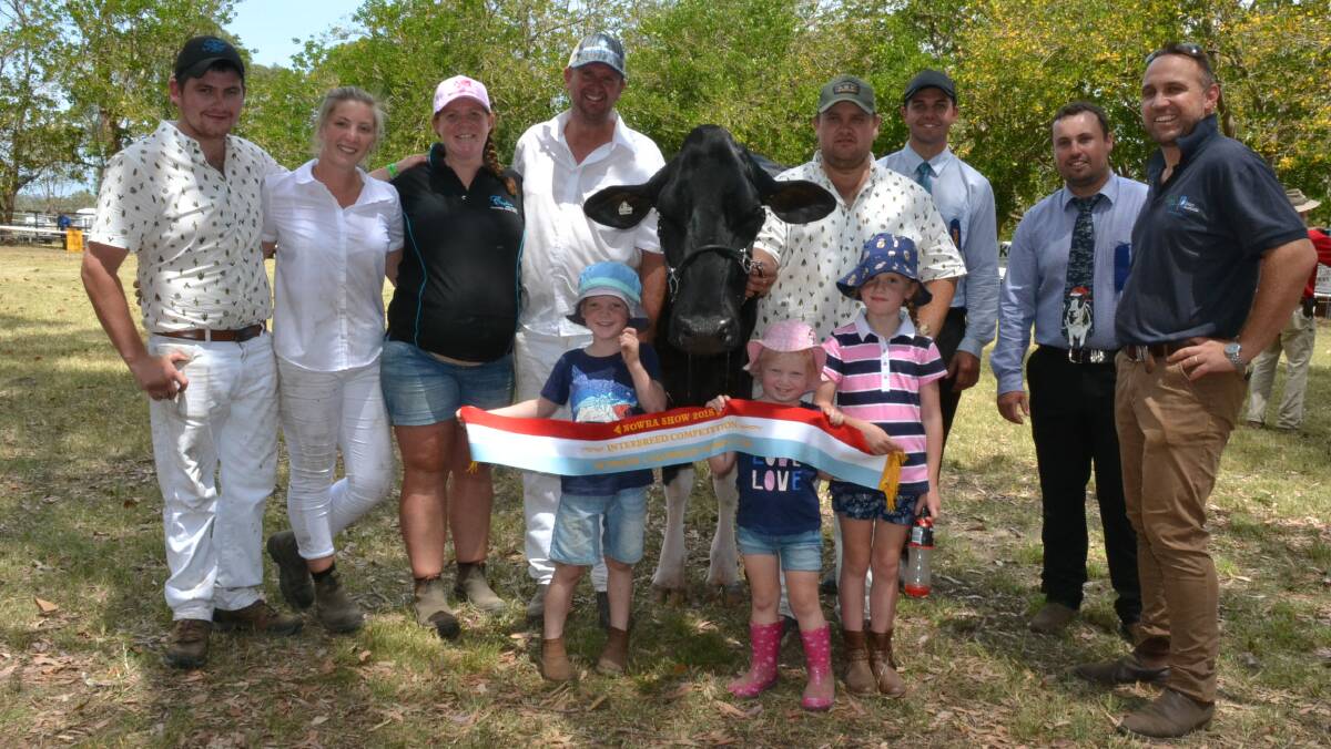 Supreme Champion cow was the Crawford family’s Coolea Aftershock Dita.