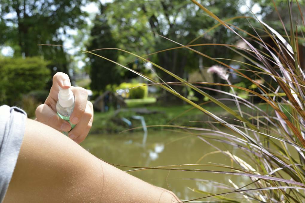 The health department is urging people to use mosquito repellent, clear their gardens of stagnant water, and cover skin with clothing. Photo: iStock.