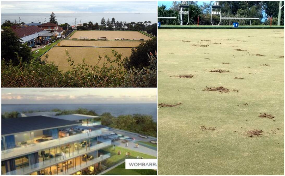 The bowling greens, prized for their ocean-front position, have been targeted by cockatoos (right) and flagged for redevelopment (bottom left). 