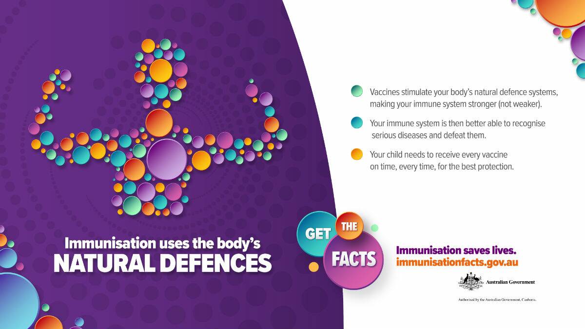 Immunisations work by using the body's natural defences. Image: www.immunisationfacts.gov.au. 