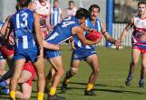 Figtree Kangaroos player-coach Brandon Lagana pictured here playing against the Wollongong Bulldogs in June, 2023. Picture by Sylvia Liber