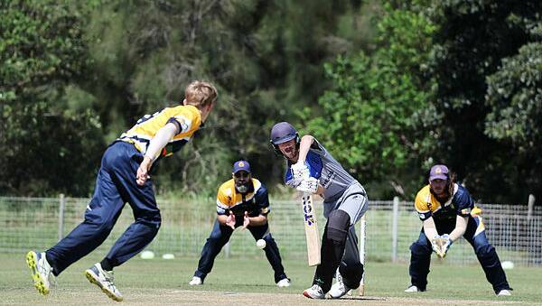 Berry-Shoalhaven Heads player Tom Fletcher batting against Lake Illawarra in the last round of the regular season. Picture by Sylvia Liber