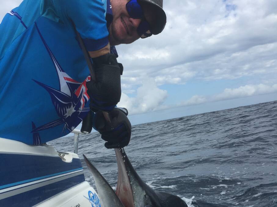 POINTY END: Andy Clark with a striped marlin caught on board boat Yoda, during the current marlin run.