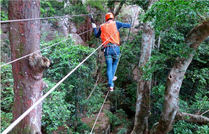 WIN a Family Pass to Trees Adventure Nowra