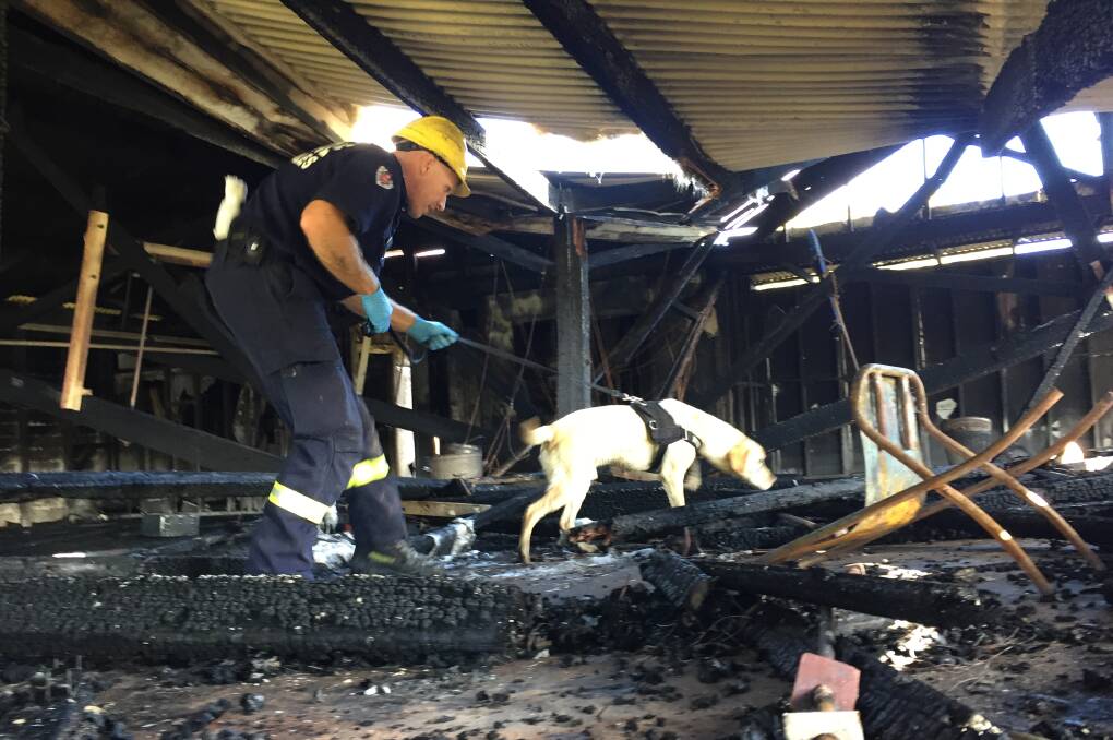 NOSEY: Fire and Rescue NSW K9 handler Tim Barrett and Earl the accelerant-detection dog work the remains of the sailing Clubhouse.