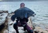 The Blue Groper speared at Hungry Point. Picture supplied