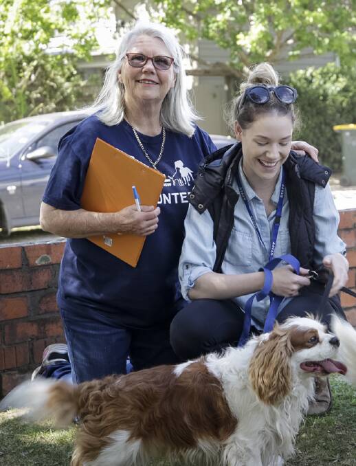 GET PROTECTED: Animal Welfare League Shoalhaven branch and Kangaroo Valley Vet will offer free microchipping and reduced desexing to dogs and cats from the Kangaroo Valley region on October 27. 

