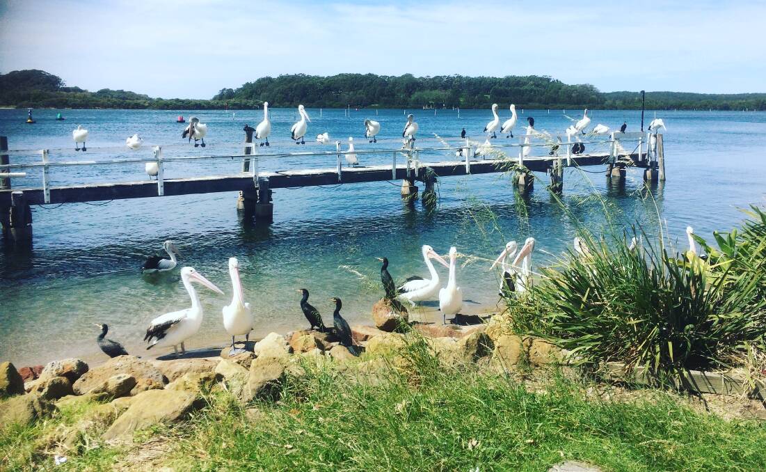 PIC OF THE WEEK: Jess McNamara snapped this beauty at Greenwell Point. Submit entries via Instagram, Facebook or email.