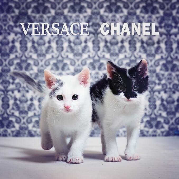 PAIR: Versace and Chanel are ready to walk right into your life. Photo: Annette Smith Photography. 