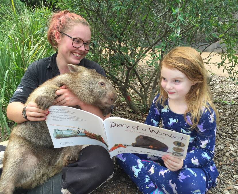 TALE: One of Shoalhaven Zoo's resident wombats, Miss May, with zoo keeper Michelle Andrews and Eliza O'Dowd are looking forward to the Diary of a Wombat stage play at the Shoalhaven Entertainment Centre on April 5.