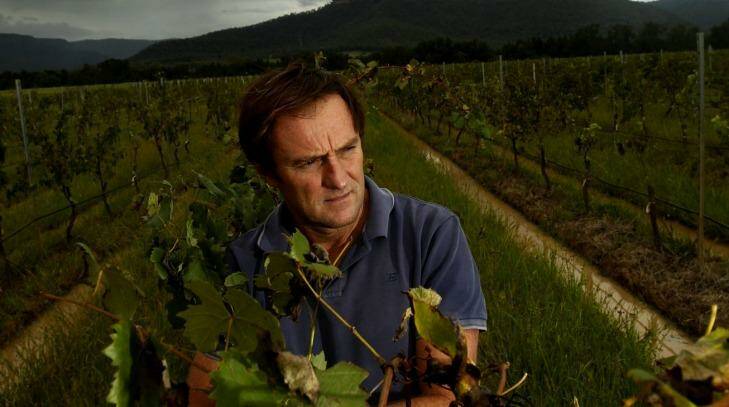 Hunter Valley winemaker Andrew Margan: hit by Nigerian scammers. Photo: Jonathan Carroll